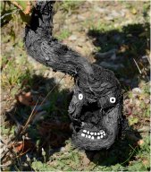 pieds de vignes_03